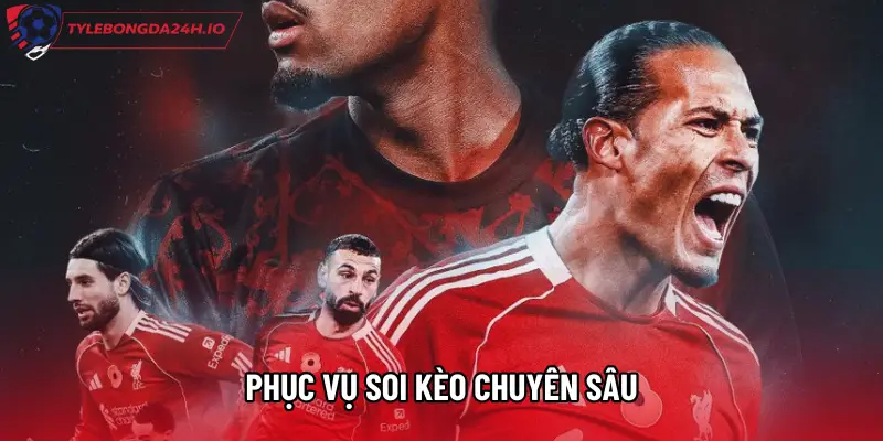 Phục vụ soi kèo chuyên sâu